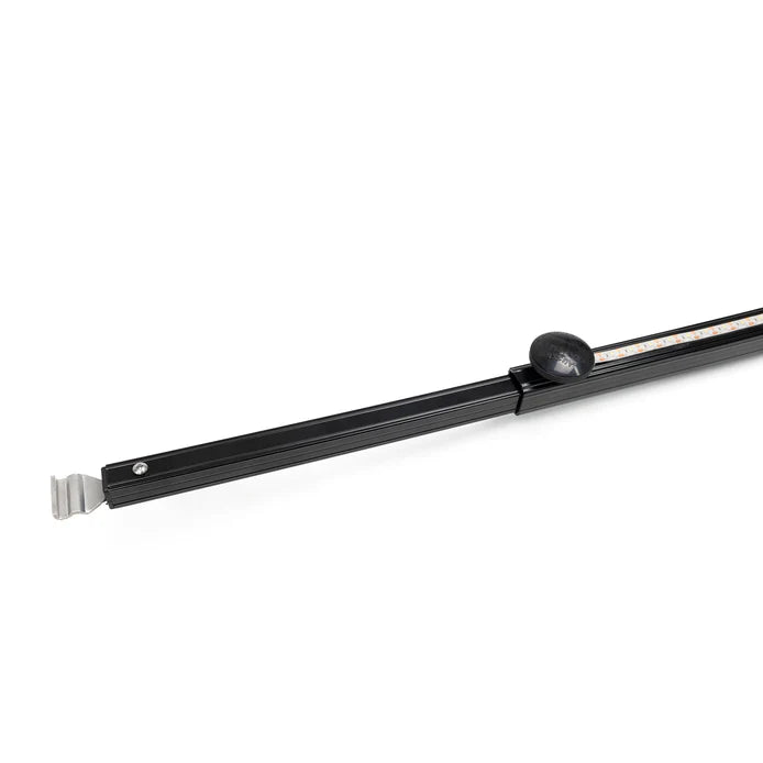 Aussie Traveller Black Curved Roof Rafter (CRR) with LED