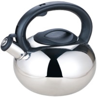 Stainless Steel Whistling Kettle Silver 2.5L