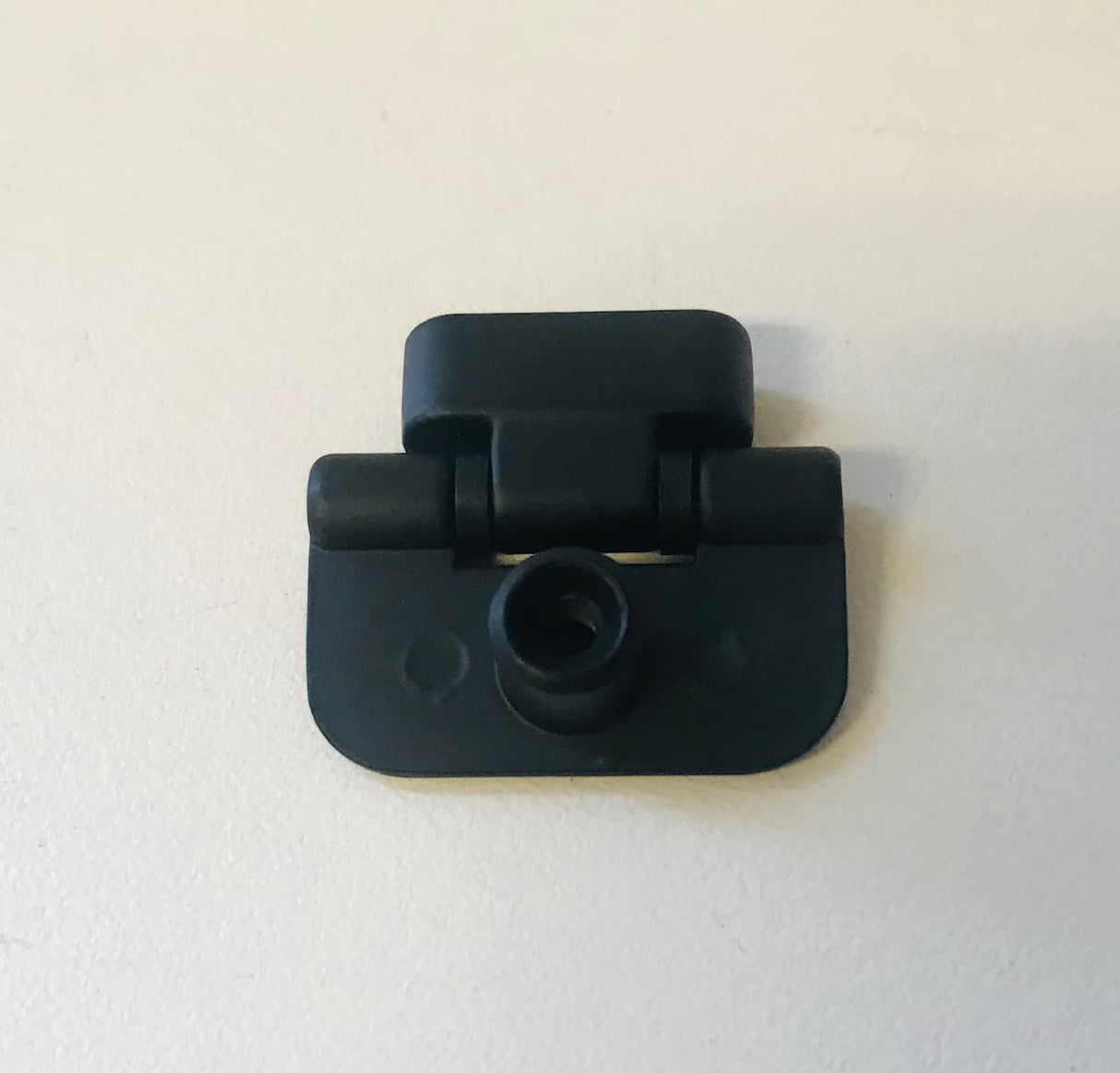 Coast Access Door Hinge (Black)